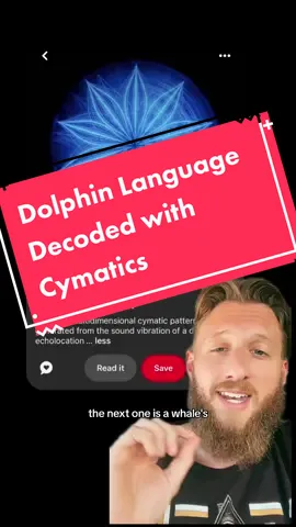 Personally i think dolphins and whales are just as intelligent as humans, just without the thumbs n shit ya know? I think cymatics is about to unlock so many doors to reality and as a music producer im so fucking ready for it. #dolphin #cymatics #sonar #cropcircles #scienceismagic #spiritualtiktok #vibration #wakaan #conspiracytiktok #greenscreenvideo 