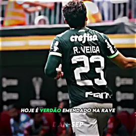 hoje é guerra! 🐷💚 #palmeiras #flamengo #palmeirasxflamengo #brasileirao #futebol #avantipalestra #verdao 