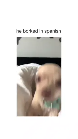 funny dogs Comp 🤣🐶  . . . #dogs #dogsoftiktok #funnydogs . 