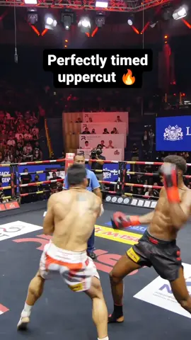 Dani Rodriguez gave us a show during the 3 rounds in his last fight in the RWS, look at this beautiful uppercit, perfectly timed 👌 #muaythai #boxing #uppercut #fighter #skills #punch #perfect