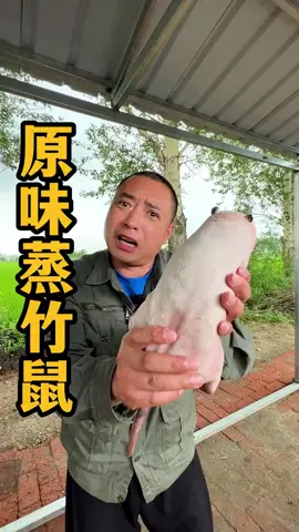 Steamed Bamboo Rat with Original Flavor#barbecue #outdoor #Fried #seafood #delicacy #Creativity #foryou