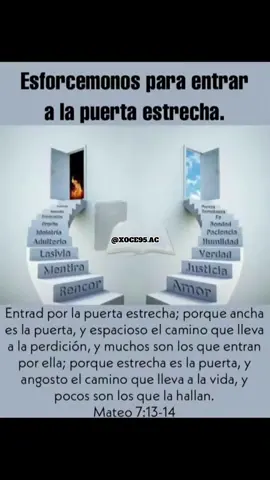 MATEO 7:13-14