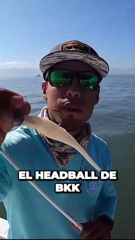 Equipo de pesca para mojarra en agua salada! Todo el equipo que usamos lo encuentras en @Curricanes Outdoors #pesca #fishing #fishingtiktoks #pescaenpuertovallarta #snookmafia #señuelosdepesca #aguasalada 
