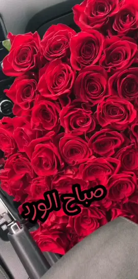 يسعد صباحكم #صباح_الخير #صباحكم_أحلى_صباح #صباحوووو_عسل #صباحياتي #صباحياتي_جميلة #♡♡♡♡♡❥❥❥❥❥ #اكسبلورexplore #♥♥ 
