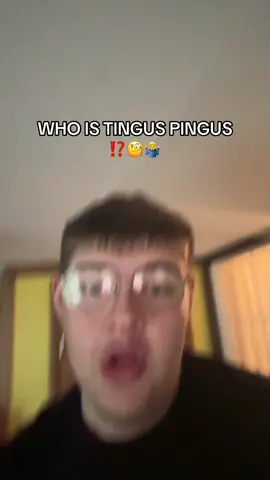WHO IS TINGUS PINGUS⁉️⁉️⁉️🤷‍♂️