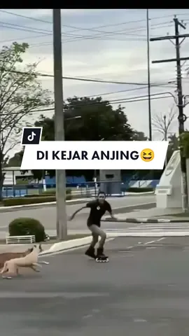 di kejar anjing #semuaorang #semuabrandatitok #dikejaranjing #viralvideo #fyp 
