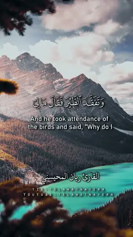 | سورة النمل | الأكثر انتشاراً 🎧🤍 #ريان_المحيسني #تلاوات_نيرة  