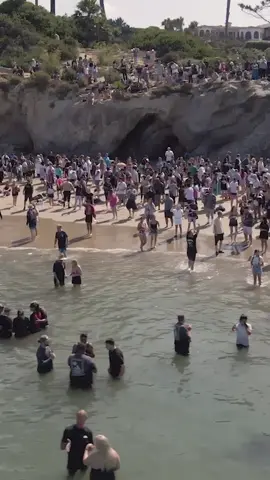 Wonderful news. The Jesus Revolution baptism yesterday had 4,500 people baptized making it the largest baptism in US history.  We praise God for how He is working in each person’s life.  It is clear God is doing something significant in our nation and people sense a great revival. Greg Laurie told me, “There were never crowds like this 50 years ago in the Jesus Movement. This is new and fresh. What’s happening is clearly inspired by the Jesus People revival. People want to have their own revival today. This IS Revival-like. No question about it.”  #jesusrevolution  #asburyrevival  Video credit: Vitaly Manzuk