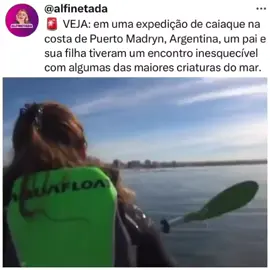 MEU DEUS! 😱🎥 (vídeo: reprodução internet / instagram)