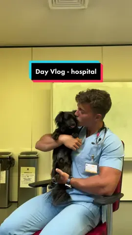 dogs or cats? both <3  #fy #fyp #fypシ #Vlog #dayinmylife #vet #medvet #vetstudent #vetschool #college #grwm #outfit #OOTD #hospital #animals #vethospital #dog #dogsoftiktok #cat #catsoftiktok #bird #birdsoftiktok 