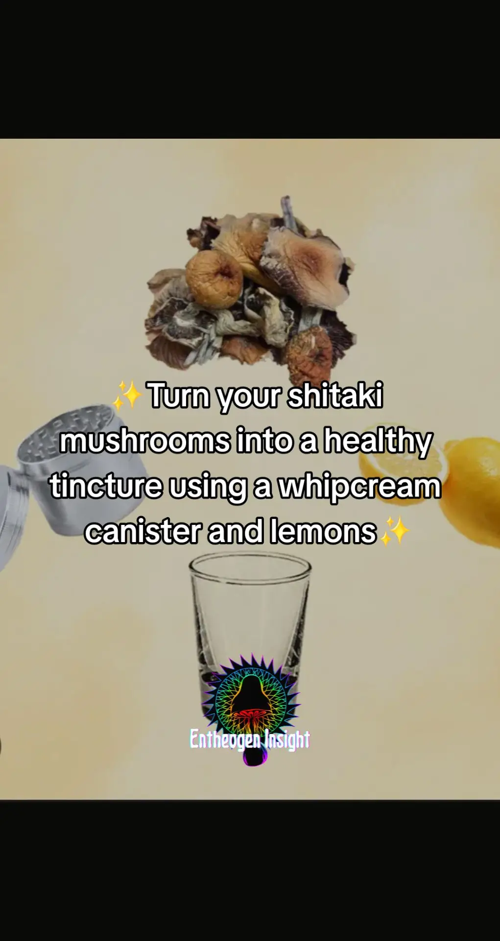 shitaki mushrooms have good physical and mental health benefits ✨️🌈 #trippy #lsdtok #mushroom #heal #ascension #psychedelictok #foryou 