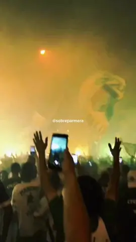   Em casa a gente resolve! 🙌💚🐷 . . . . #semprepalmeiras💚 #sociedadeesportivapalmeiras #palmeiras1999 #palestrinass_ #palmeirassep1914 #palmeiras #allianzparque #Love #libetadoreseusoutri #quemtemmaistem11 #viral #verdão #Instagram #instagoods 