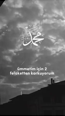#hzmuhammedsav 