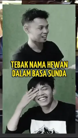 video tebak-Tebakan nama hewan lucu dalam bahasa sunda #funnyvideos #meme #cipung #rafathar #lucu #tebaktebakan #hewanlucu #sunda 