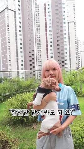 저기요 한번만 만져봐도 돼요??? #추천 #fyp 