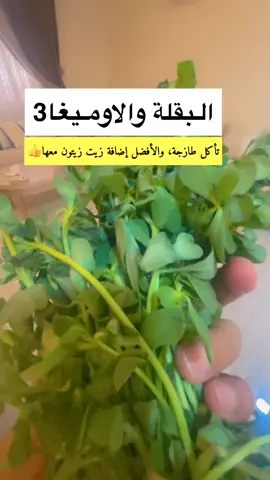 البقلة والاوميغا٣ #صحة #اكسبلور #ترند #trending #tiktok #foryoupage #fyp #اكسبلورexplore #ترند_تيك_توك #مشاهير_تيك_توك 