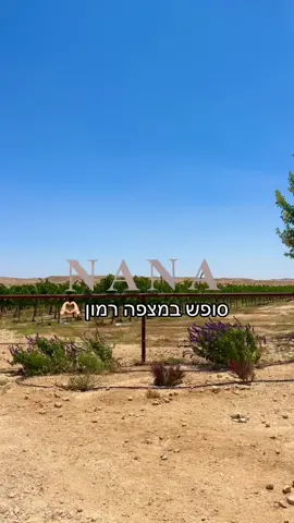 #טיולים #מצפהרמון #פוריו #זוגיות #ישראל 