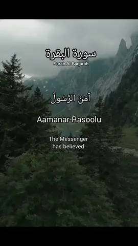 Surah Baqarah last 2 ayat #quran #allah #islam #foryou #foryoupage 
