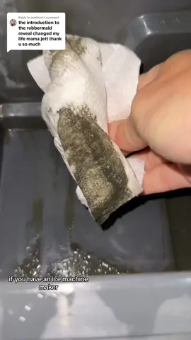 Replying to @madison   you shoukd run the clean cycle weekly ans descale it every 2-3 weeks  #clean #deepclean #CleanTok #cleaningtiktok #cleaning 