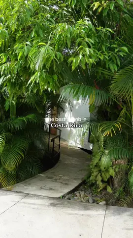 This was honestly the best place to end my trip in Central America. The hosts were amazing, the breakfast was so good and they even served coffee waiting at my door in the morning. I wished I stayed here longer than 1 night but I’ll be back! #costarica #costarica🇨🇷 #puertoviejocostarica #airbnb #airbnbfinds #travel #backpacking #solotrip #solotravel 