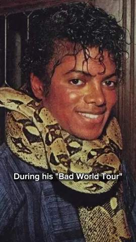 Michael Jackson Facts | Historical Person Facts #facts #factsdaily #factcheck #michaeljacksonfan #michaeljacksonedit 