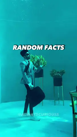 Did you know about these ? #curiosity #facts #LearnOnTikTok #randomfacts #factsyoudidntknow 
