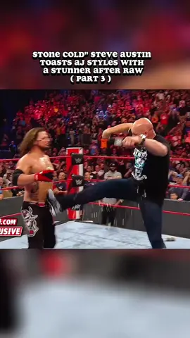 PART 3 : #stonecold #steveaustin #ajstyles #stunner #raw #WWE #wwefan #wweraw #wwetiktok #smackdown #nxt #raw #WrestleMania #fyp #foryou #foryoupage #funny #fypage #fypシ 