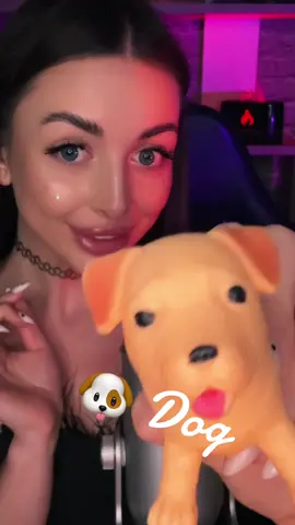 Asmr#dog🐶🐾 