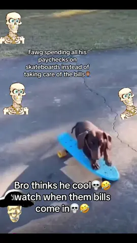 The bill collectors are always watching👁️👁️#finlawg #zawg #meme #lol #billcollector #dog 