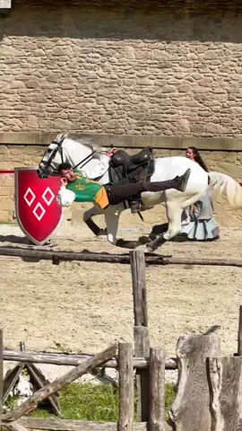 🔥🔥 #puydufou #vaulting #voltige #voltigecosaque #voltigeequestre #equestrian #horse #horsesoftiktok 