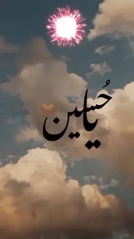 Zahid sarfraz