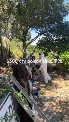 #Love #loveyou #ticktock #viral #foryoupage #poisonivy #poisonoak 