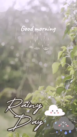 #CapCut #goodmorning #rainyday 