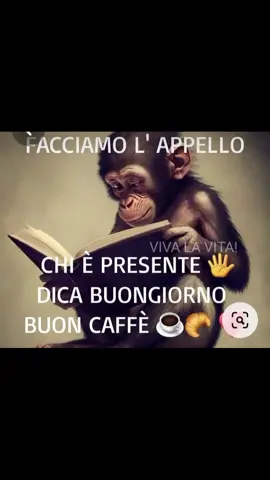 allora buongiorno ❤️