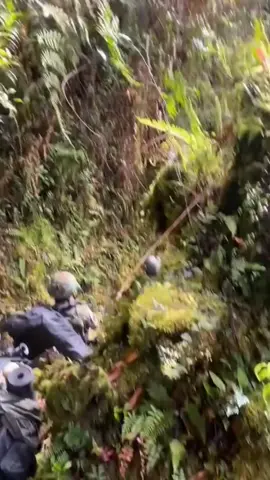 Menembus hutan belantara Papua.🔰🇲🇨 #papua #papuaviral #tiktok #fyp #aceh #tni #papua #tnipapua #pedalamanpapua #babinsamuda #babinsa #brimobpapua #brimob #tnitv #trending #zaykefi #tnipolri #kkbanger #tniindonesia🇮🇩 #tnipolri #tni #tniadindonesia #tniad💪😎 #gam #brimob #tniadindonesia🇮🇩 #tniadalahkita🇮🇩 #aceh #papua #opm #tni #militer #militerindonesia #hilogess #konflik #pedalamanpapua #brimob #brimobpapua #viral #rumohgeudong tni #papua #opm #tnimuda #tnimudapapua #ilu #papua #sniper #snipertni #puncakjayapapua #brimobpolri #tnipolri #khalissetiawan87 #khalissetiawan #kkmoro #tingginambut #puncak #papua #viral #damaipapua #anakpapua #kids #bocah #wilson #papuadamai #hilogess #hilogess #trendingtiktok #tniadmengabdidanmembangunbersamarakyat #tniadindonesia #konflikpapua #konflikaceh #ilu #ilupapua #puncakjayapapua #puncakjaya #tni #tnipolri #tnipolriindonesia #tnipolribersatu  #kkb #tniad #fyp #fypシ #indozone #tnipolrisolid #tnipolriuntukindonesia #heli #puncakjaya #puncakjayapapua #opm #helicopter #tniau #hilogess #tniindonesia🇮🇩 #viral #fypシ゚viral #fy #tniad #pedalamanpapua #calontni #tnikeren #tniadindonesia #komando #akmil #2003 #indonesiaarmy #militerindonesia #polisimiliter #navy #indonesiannavyseals #tentara #juni #iduladha sejarah #militer #megawati #tni #aceh #abdinegaraofficial #taruna #au #al #infomiliterindonesia #indomilitarylovers #indomiliter #pasukanprajurit #tniupdate #prajuritganteng #lolostni #papua #tingginambut #puncakjaya #papua #tingginambut #puncakjaya #puncakjayapapua #puncakjaya😇🇮🇩💪 #puncakjayapapua🇮🇩 #puncakjayamulia 