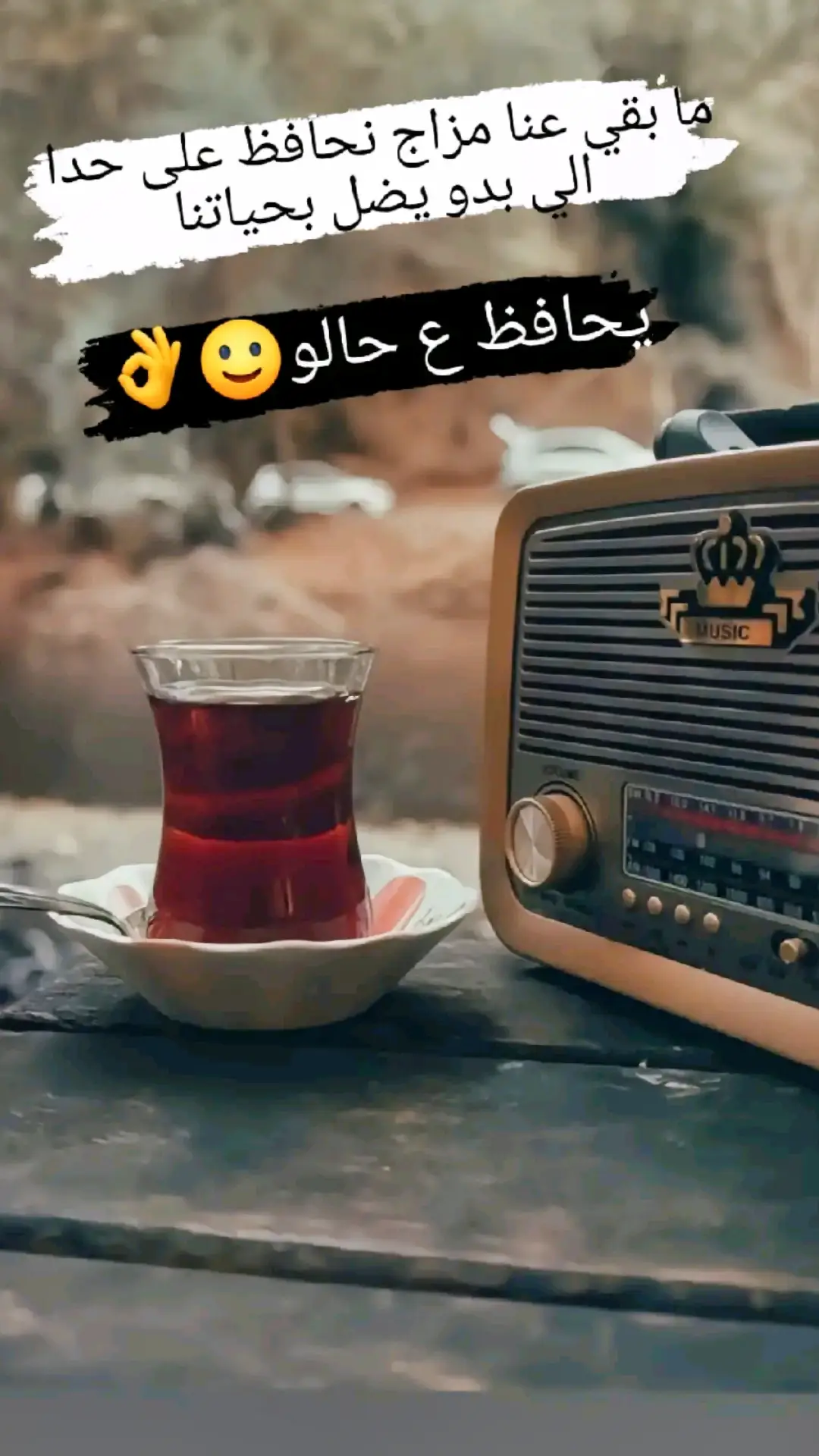 من جائناا بالود حفظناه ومن أتانا بقبح بكل ود قطعناه😌🙂#شعب_الصيني_ماله_حل😂😂😂 #سوريا_تركيا_العراق_السعودية_الكويت #حالات_واتس #لايك #fypage #foryou #fypシ #حزين 