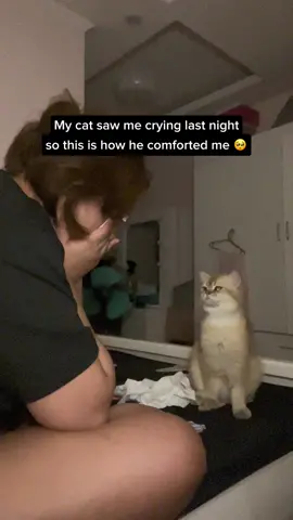 Had a huge fight with my boyfriend last night and this is how Panpan comforted me. Do I deserve you 😭 #catsoftiktok #catlife 