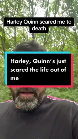 I’ve just had the life frightened out of me in the woods, suddenly dressed up as Harley Quinn just come running out in front of me and sprinted off into the distance, not saying a word #endthestruggle 