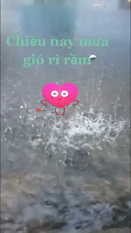 💕💓💞🌺🌷🌹