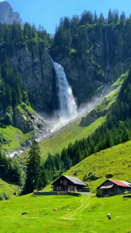 📍 Stäubifall, Switzerland 🇨🇭 Follow us for daily Swiss Content 🇨🇭 🎥 by: @swisswoow  #wasserfall #waterfall #switzerland #schweiz #nature #stäubifall #naturephotography #wasser #landscape #natur #water #travel #mountains #swiss #photography #suisse #uri #kantonuri #wandern #photooftheday #Hiking #naturelovers #visitswitzerland #landscapephotography #myswitzerland #wanderlust #berge #river #berneroberland #inlovewithswitzerland 