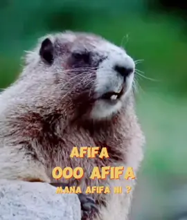 Text nama sound boleh edit #tupaipanggilnama #tupaicomel #soundtupai #viralvideo #capcut @MexMoney @dekfiq88 