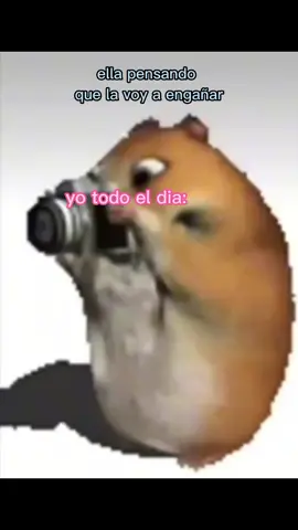 Real. #fyp #novia #hamsters 