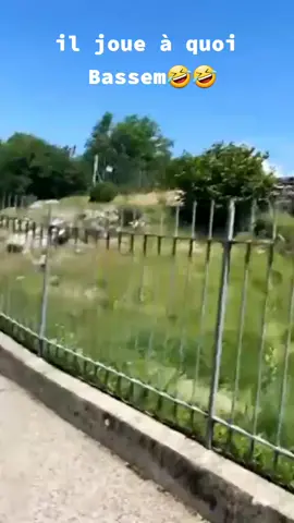 Bassem rend hommage a Napoléon sous fond de la  Marseille dégaine de bikers crâne chauve  #videodrole #bassem #metissage #napoléon #france🇫🇷 #bikers #crs