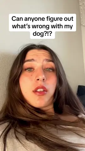 You HAVE to see the dog’s head tilts 🤣🤣🤣 #Pubity (IG: katelyn.gray via @collab)