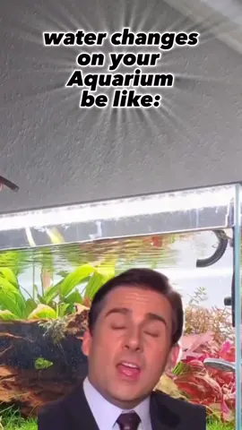 Waterchanges on your aquarium 🥰🔥 #aquarium #waterchange #aquascape #meme #aquariummaintenance #maintenance 