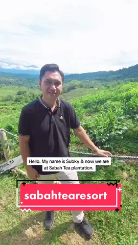 Learn about tea at Sabah Tea plantation in Ranau, Sabah 😃 #sabahtea #ranau #teaplantation #blacktea #teabenefits #teaprocessing 