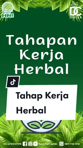#halalmartjambi #dcmeiza #berkualitas #halalnetworkinternational #hni #hniofficial #pthgpai #halal #hpaiindonesia  #halalmart #hnihpai #bisnisonline #infohalal #sobatherbal #alami #fyp #fyp #foryoupage #halalismyway #trendingnow #ekstraherbal #alami #terbaik #islam #jambi #jambitiktok #fpyツ #fpyツ 