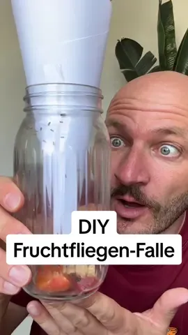 DIY Fruchtfliegen-Falle 🪰🥝🍌🍉