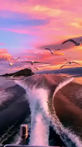 爱意随风起，海鸥伴日落。愿你如海鸥般自由飞翔。愿你所愿，我所愿，皆能如愿！#旅行vlog #海边 #度假 