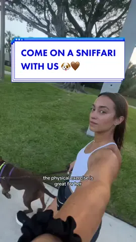 Our favorite part of the day 🤎🫶🏼 #pitbullmomlife #dogreactivitytraining #mentalstimulationfordogs #dogexercise #tipsfordogowners #mentalexercisefordogs 
